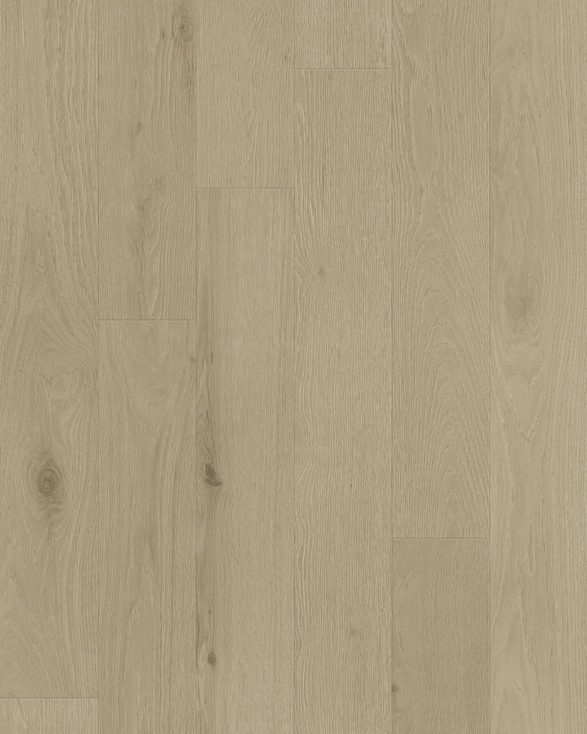 TCN101 Oyster Toucan Studio Engineered Hardwood - CrownCornice Mouldings & Millworks Inc.