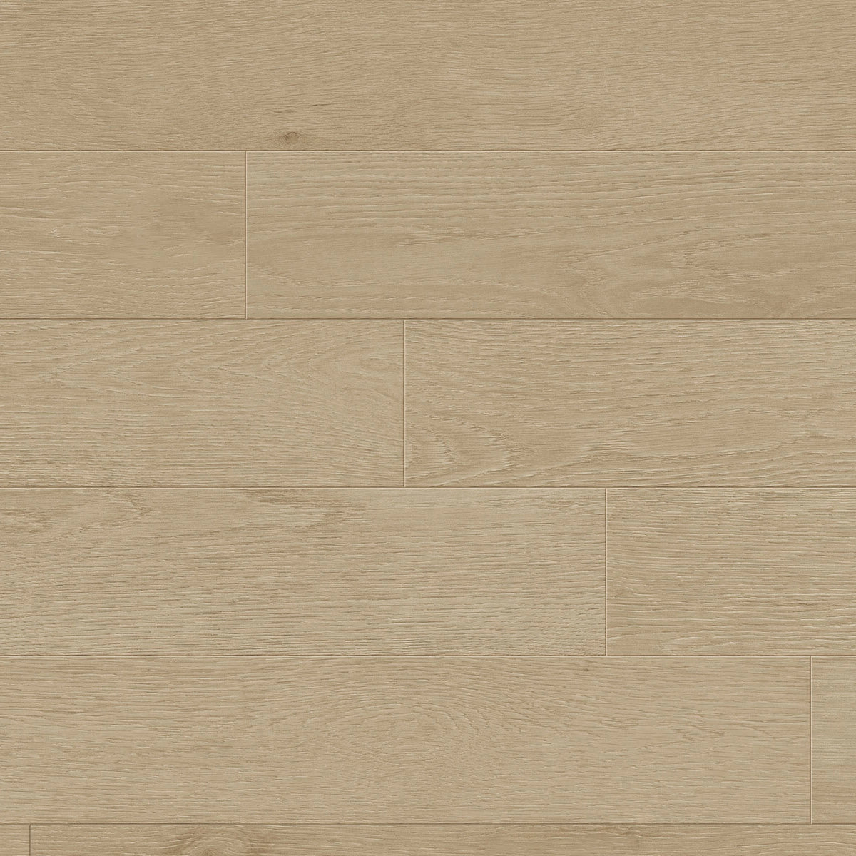 TCN101 Oyster Toucan Studio Engineered Hardwood - CrownCornice Mouldings & Millworks Inc.