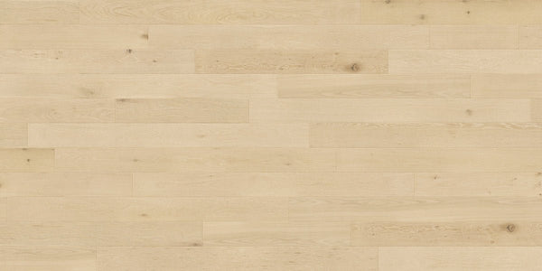 TCN102 Tusk Toucan Studio Engineered Hardwood - CrownCornice Mouldings & Millworks Inc.