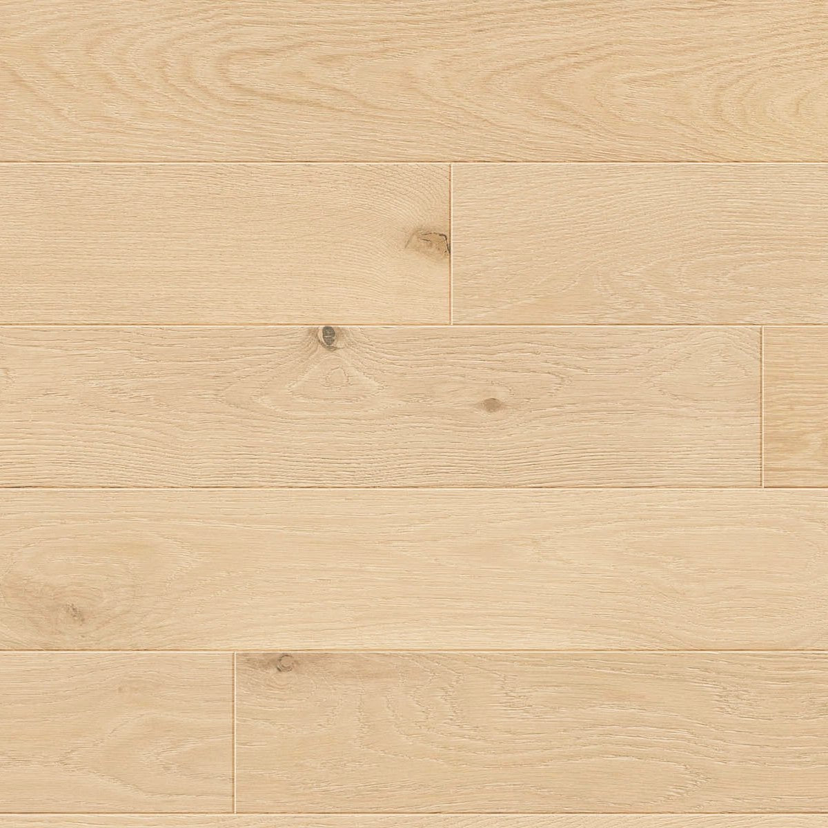 TCN102 Tusk Toucan Studio Engineered Hardwood - CrownCornice Mouldings & Millworks Inc.