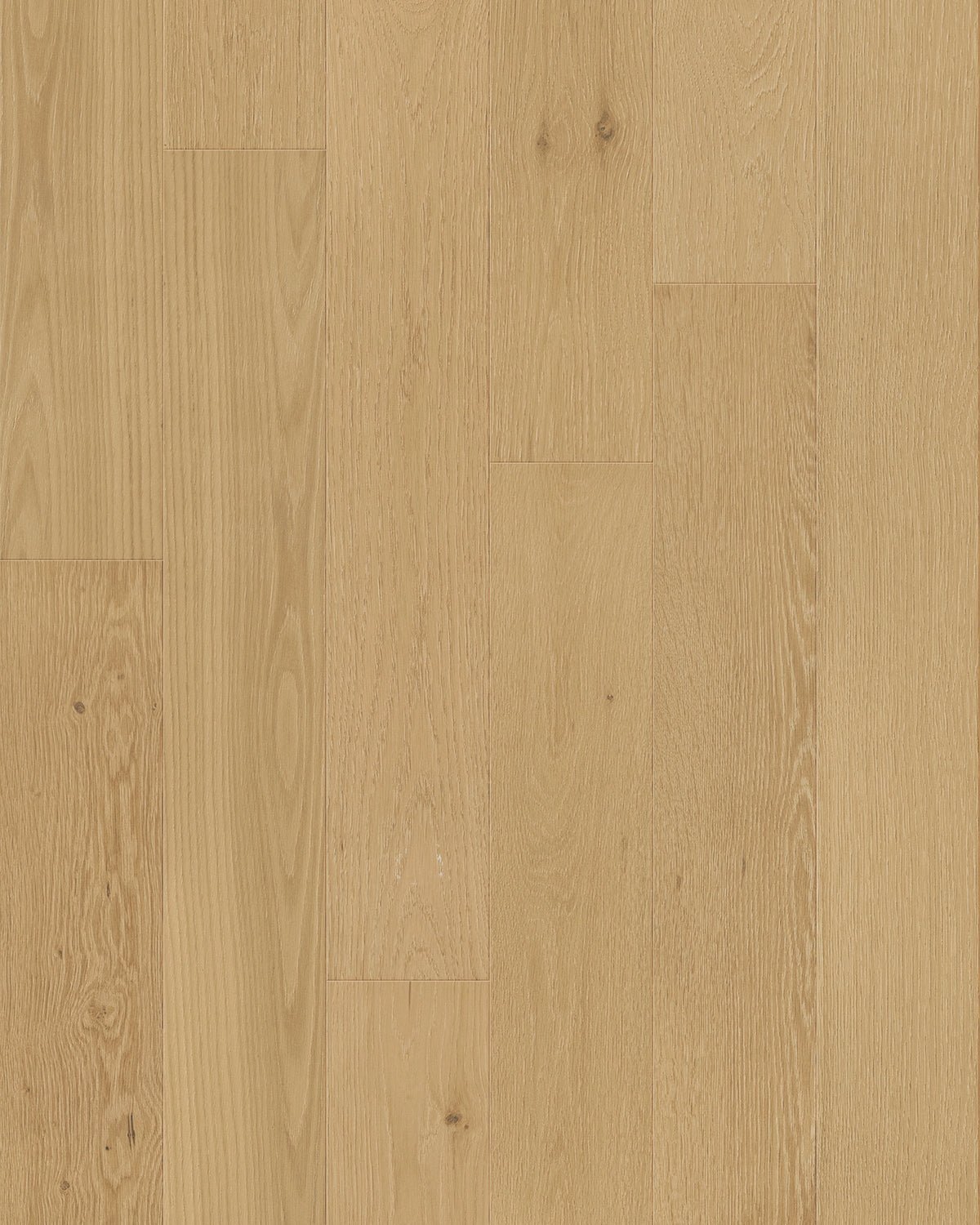 TCN102 Tusk Toucan Studio Engineered Hardwood - CrownCornice Mouldings & Millworks Inc.