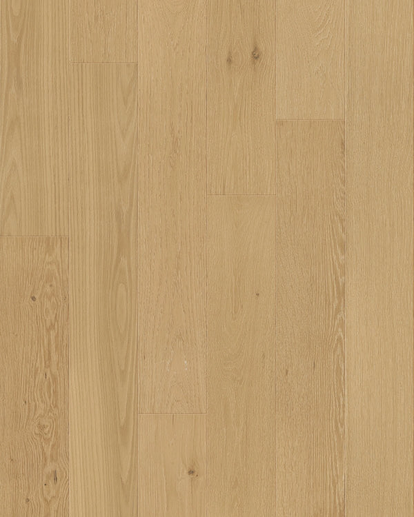 TCN102 Tusk Toucan Studio Engineered Hardwood - CrownCornice Mouldings & Millworks Inc.