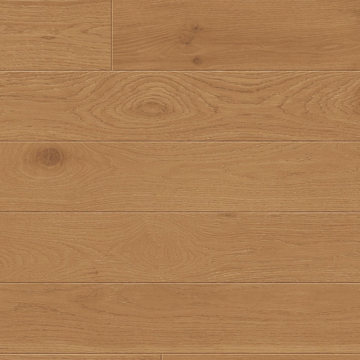 TCN104 Woodland Toucan Studio Engineered Hardwood - CrownCornice Mouldings & Millworks Inc.