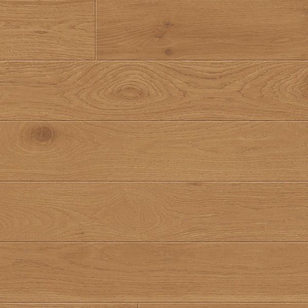 TCN104 Woodland Toucan Studio Engineered Hardwood - CrownCornice Mouldings & Millworks Inc.
