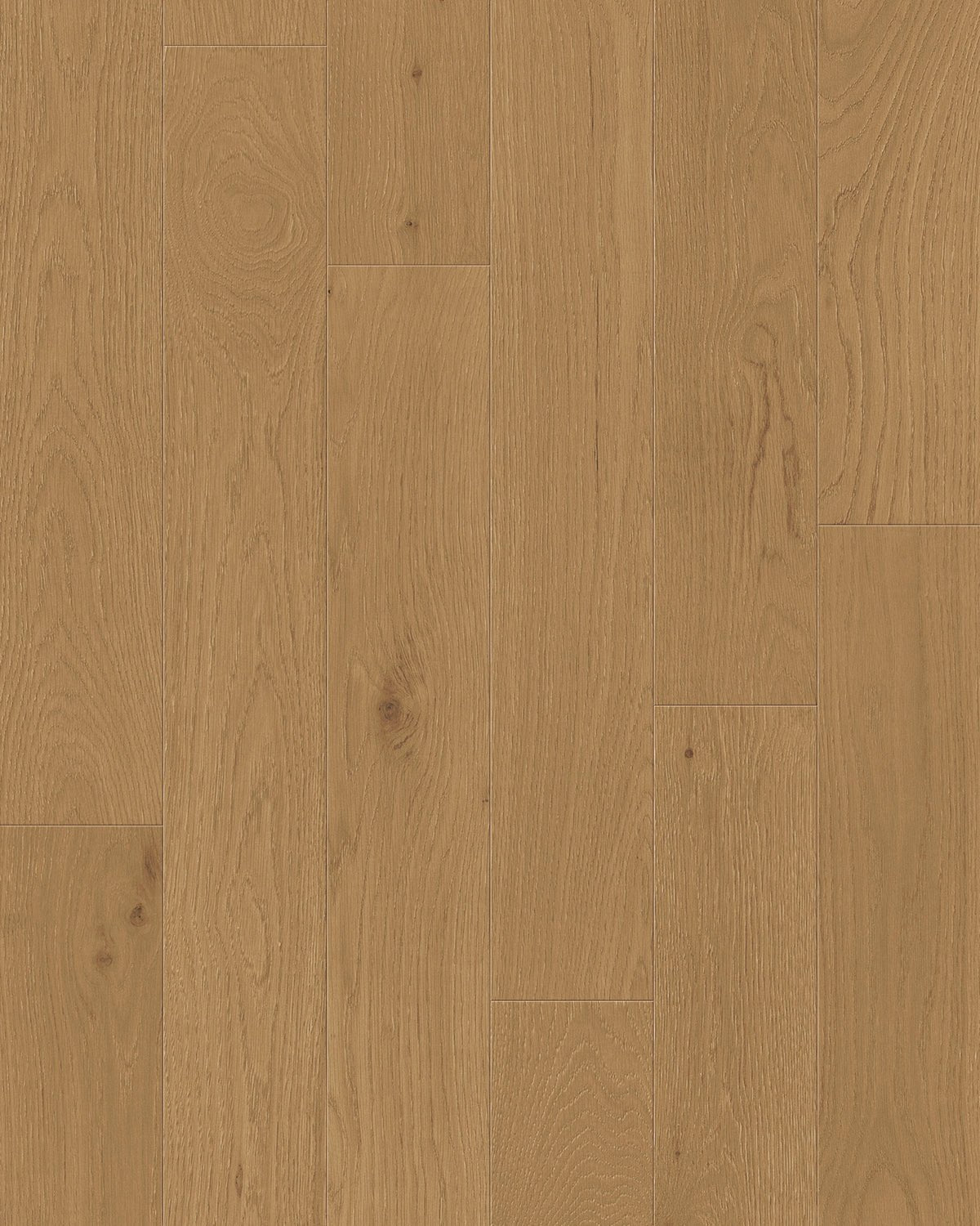 TCN104 Woodland Toucan Studio Engineered Hardwood - CrownCornice Mouldings & Millworks Inc.