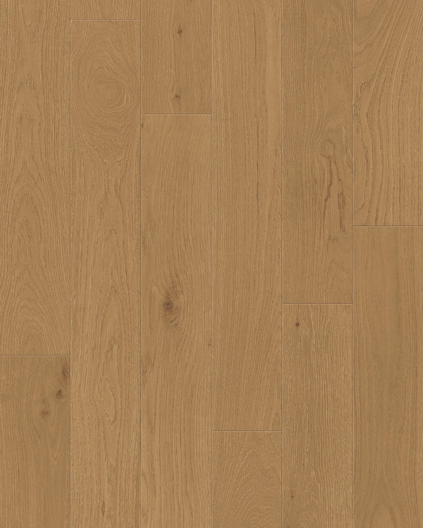 TCN104 Woodland Toucan Studio Engineered Hardwood - CrownCornice Mouldings & Millworks Inc.