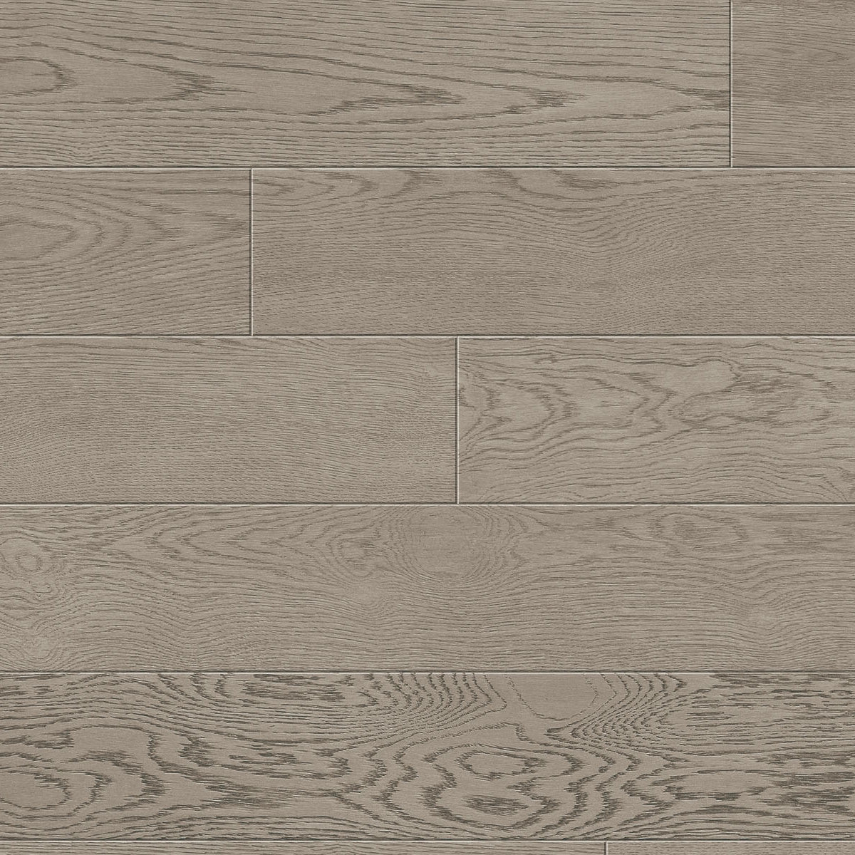 TCN105 Sky Toucan Studio Engineered Hardwood - CrownCornice Mouldings & Millworks Inc.