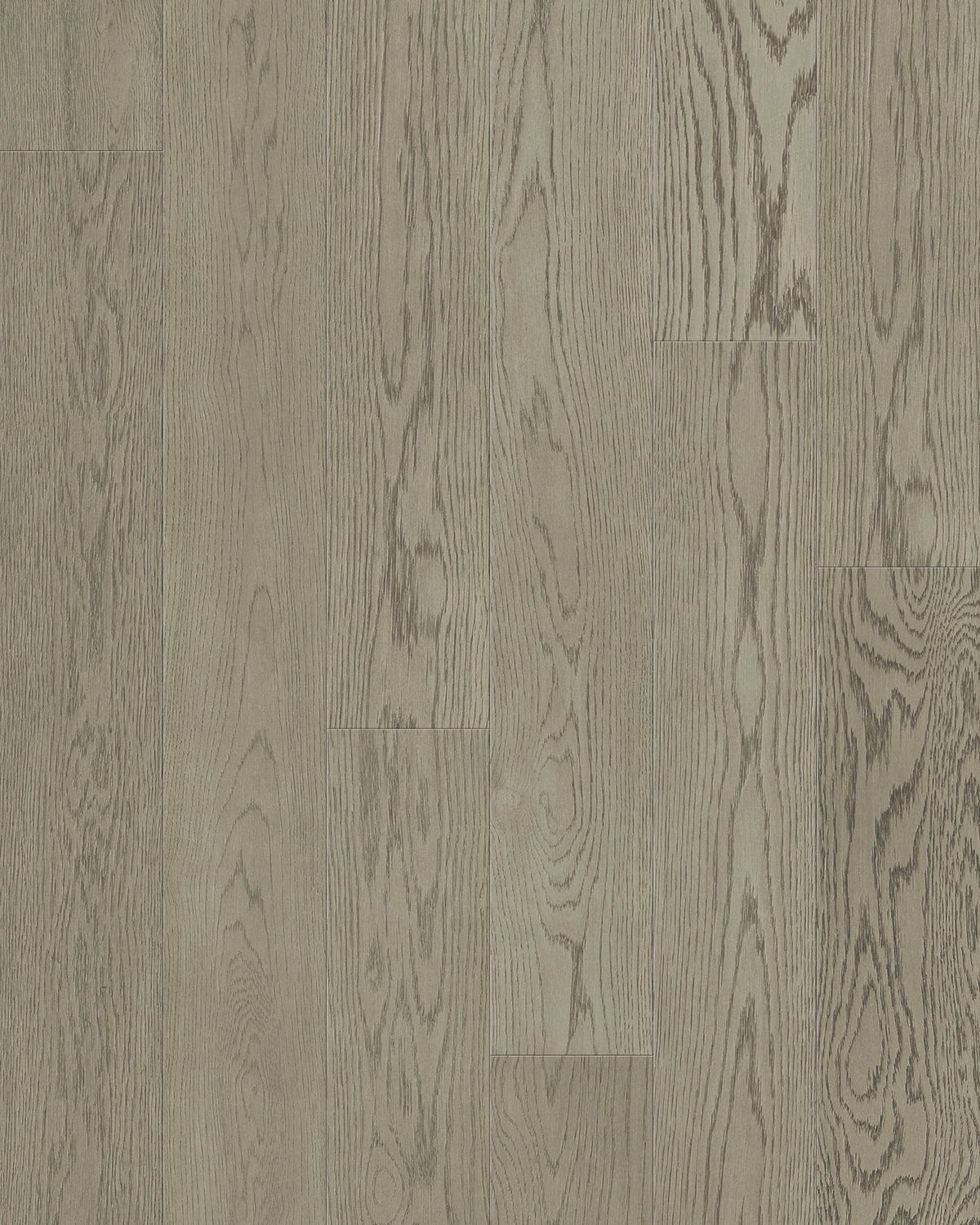 TCN105 Sky Toucan Studio Engineered Hardwood - CrownCornice Mouldings & Millworks Inc.