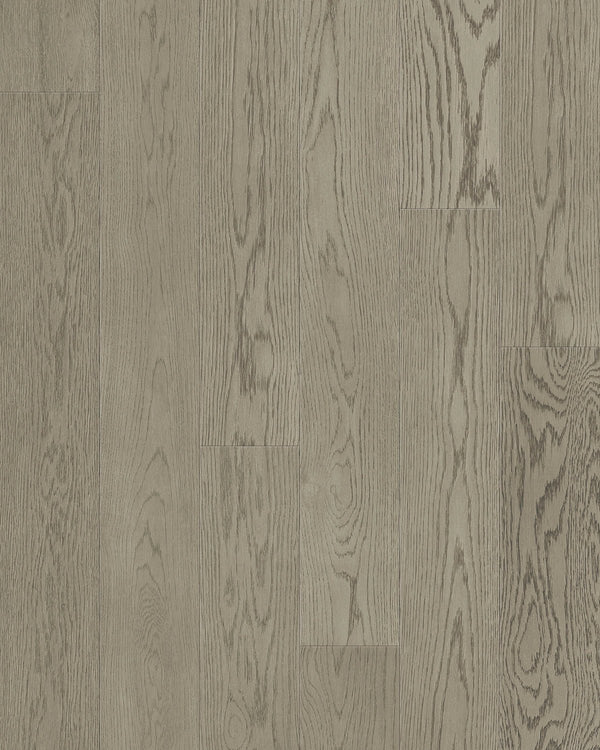 TCN105 Sky Toucan Studio Engineered Hardwood - CrownCornice Mouldings & Millworks Inc.