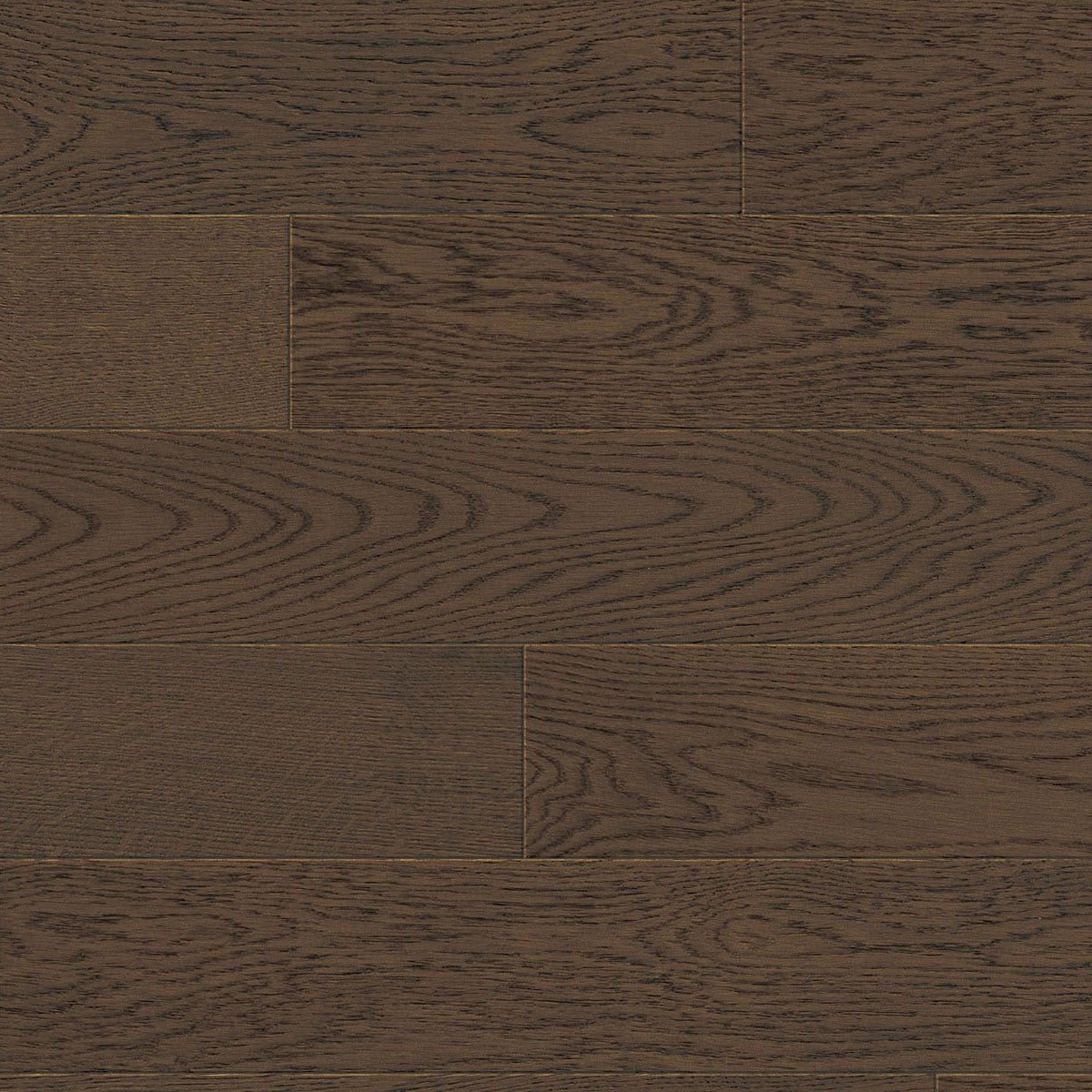 TCN106 Shadow Toucan Studio Engineered Hardwood - CrownCornice Mouldings & Millworks Inc.