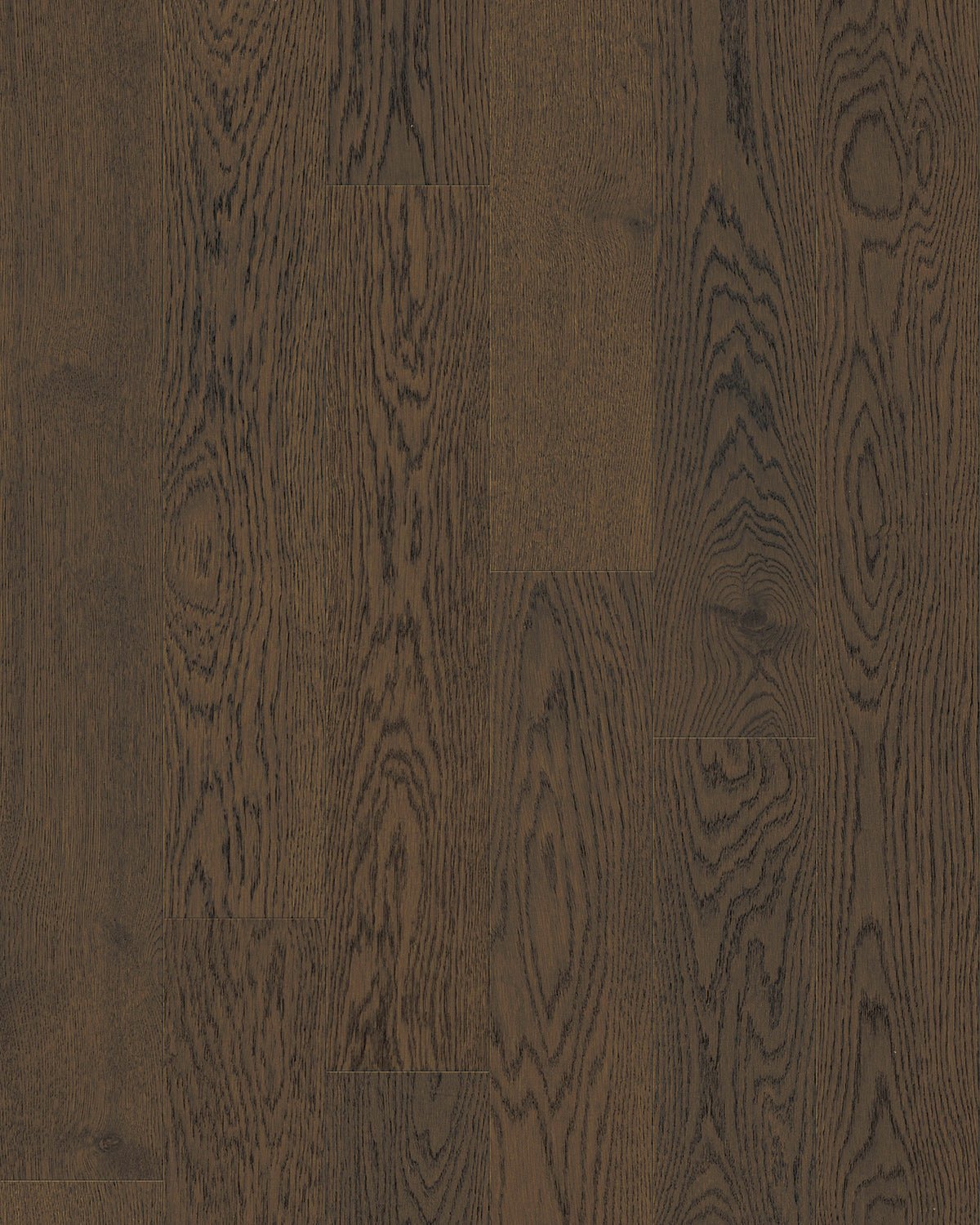 TCN106 Shadow Toucan Studio Engineered Hardwood - CrownCornice Mouldings & Millworks Inc.
