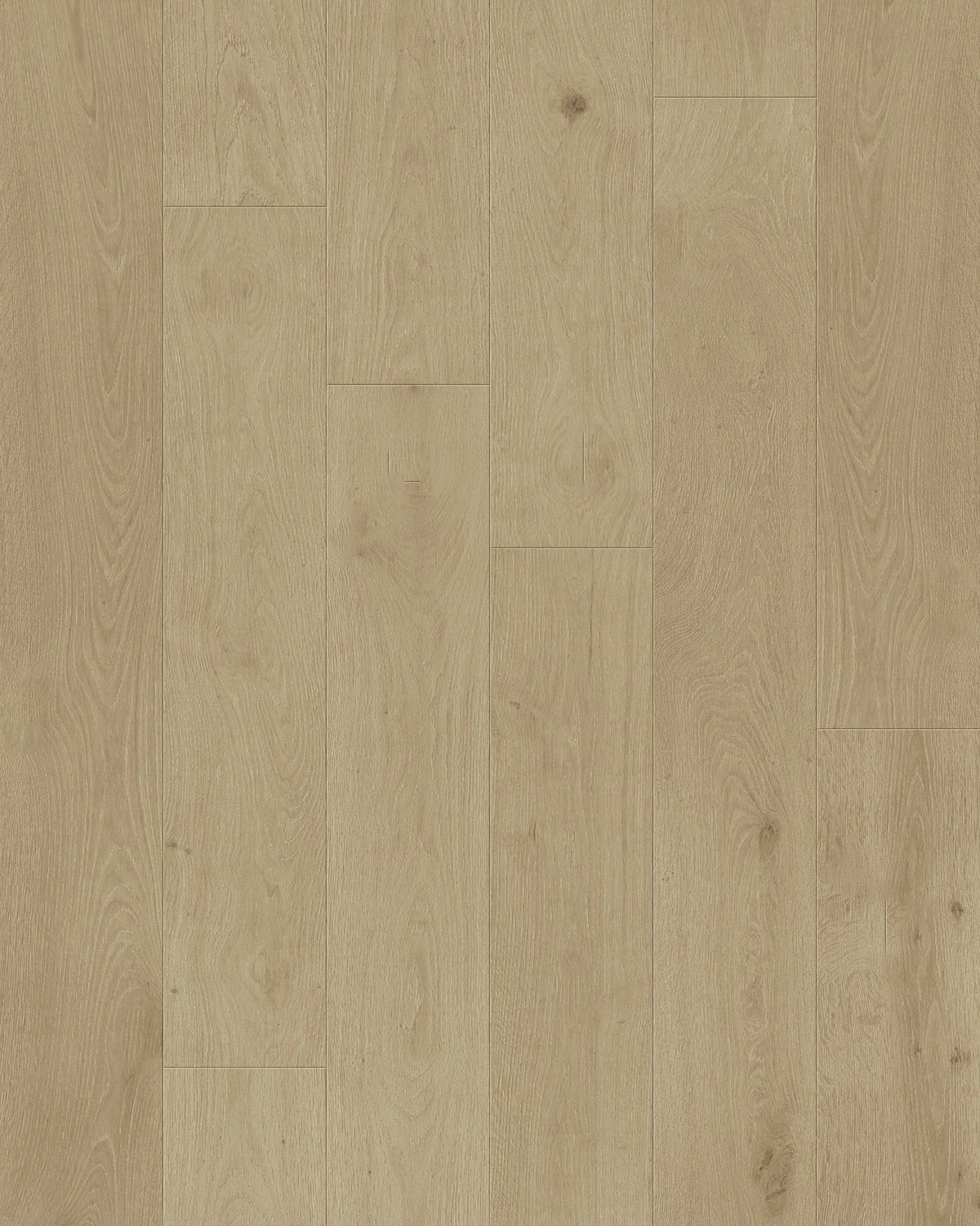 TCN202 Shell Toucan Towne Engineered Hardwood - CrownCornice Mouldings & Millworks Inc.