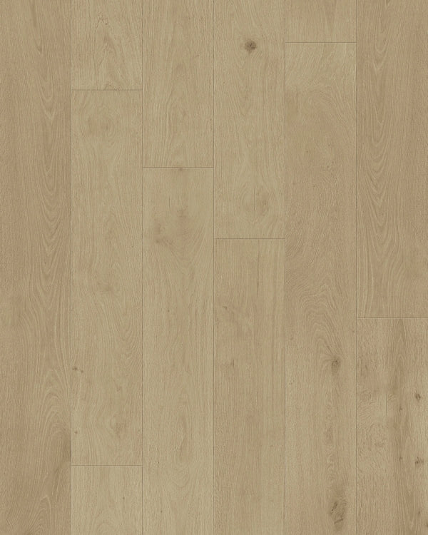 TCN202 Shell Toucan Towne Engineered Hardwood - CrownCornice Mouldings & Millworks Inc.