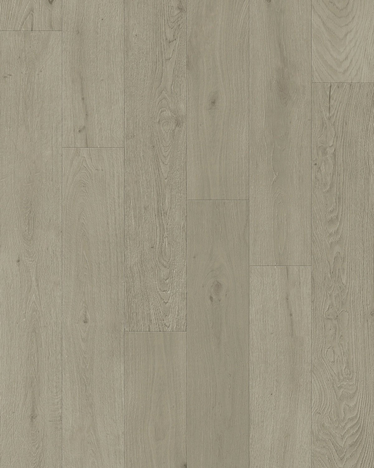 TCN203 Satin Toucan Towne Engineered Hardwood - CrownCornice Mouldings & Millworks Inc.