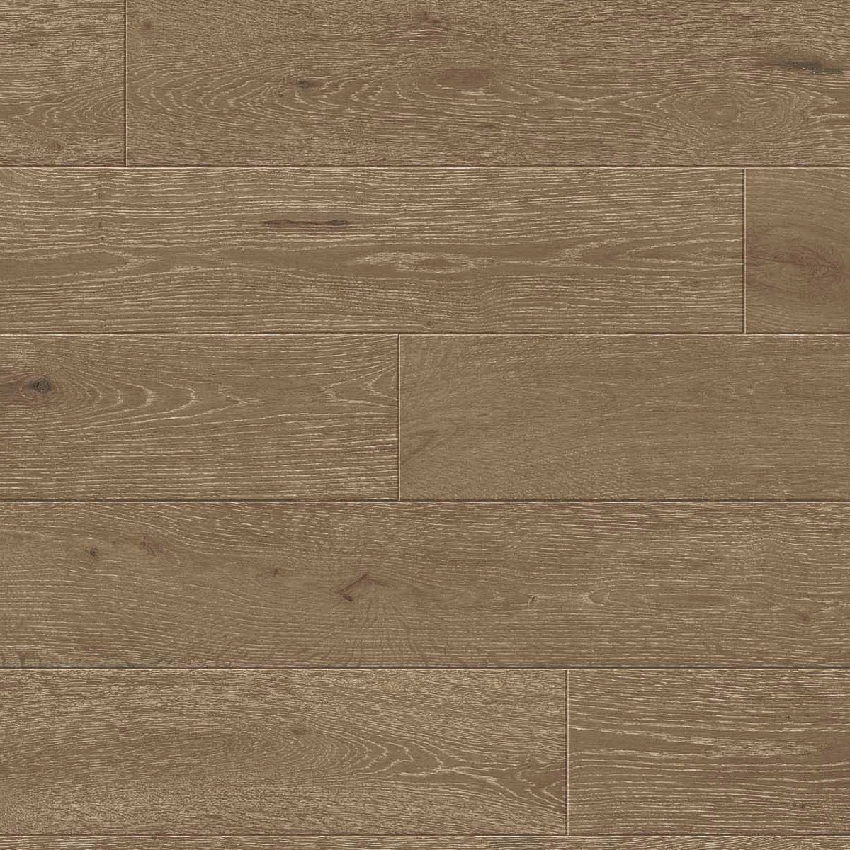 TCN204 Hazelnut Toucan Towne Engineered Hardwood - CrownCornice Mouldings & Millworks Inc.