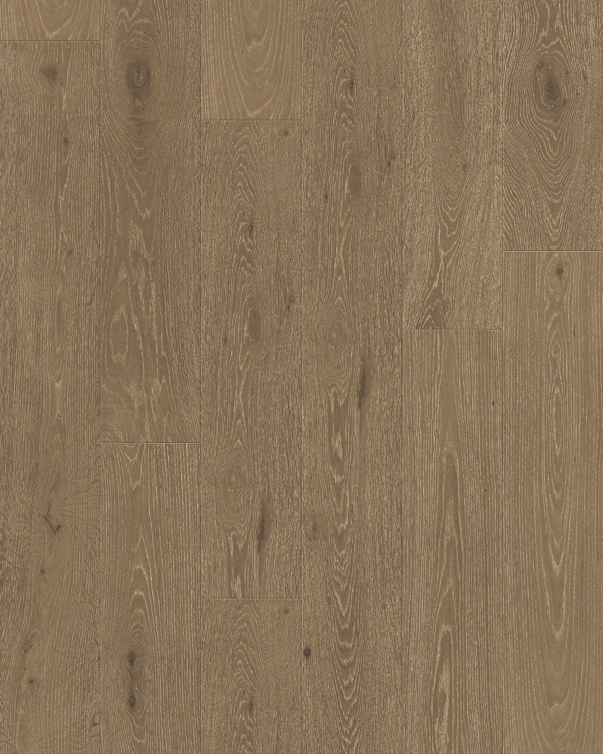 TCN204 Hazelnut Toucan Towne Engineered Hardwood - CrownCornice Mouldings & Millworks Inc.