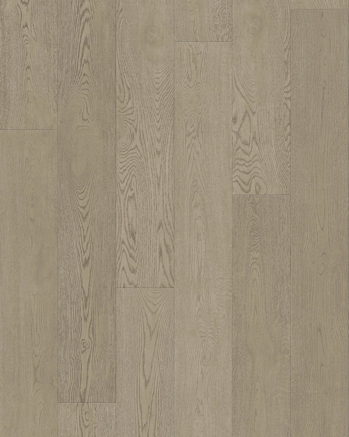 TCN205 Cashmere Toucan Towne Engineered Hardwood - CrownCornice Mouldings & Millworks Inc.