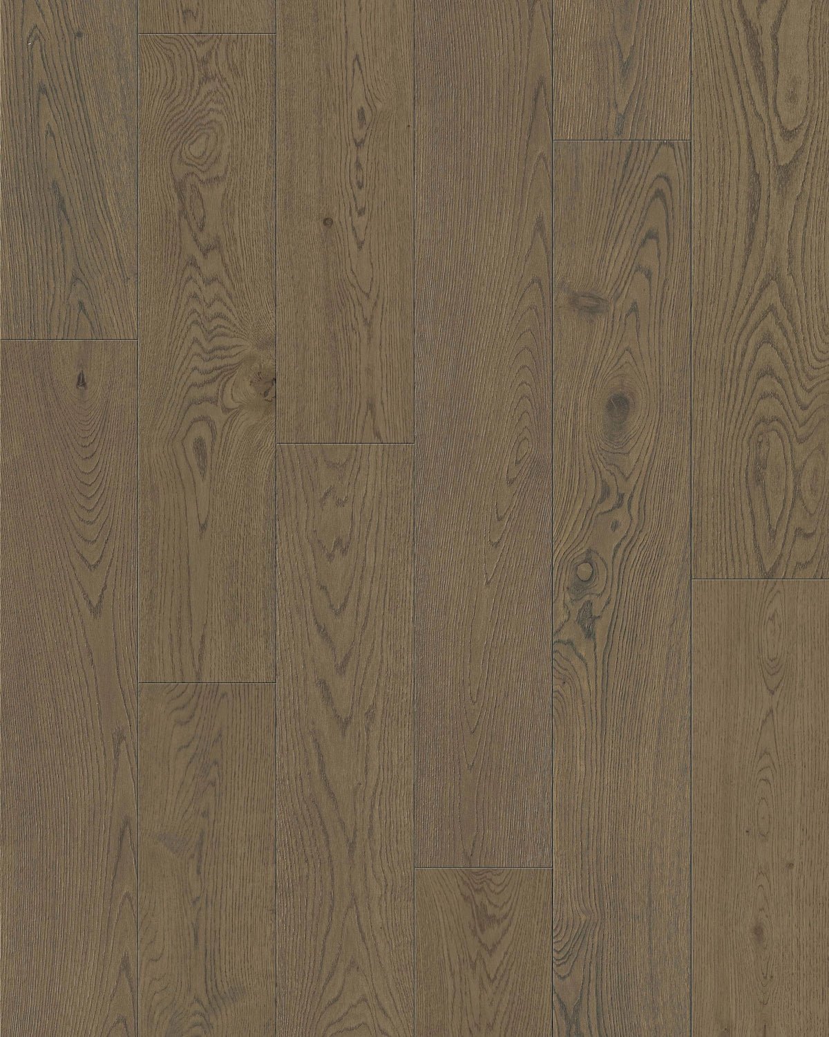 TCN206 Solitude Toucan Towne Engineered Hardwood - CrownCornice Mouldings & Millworks Inc.