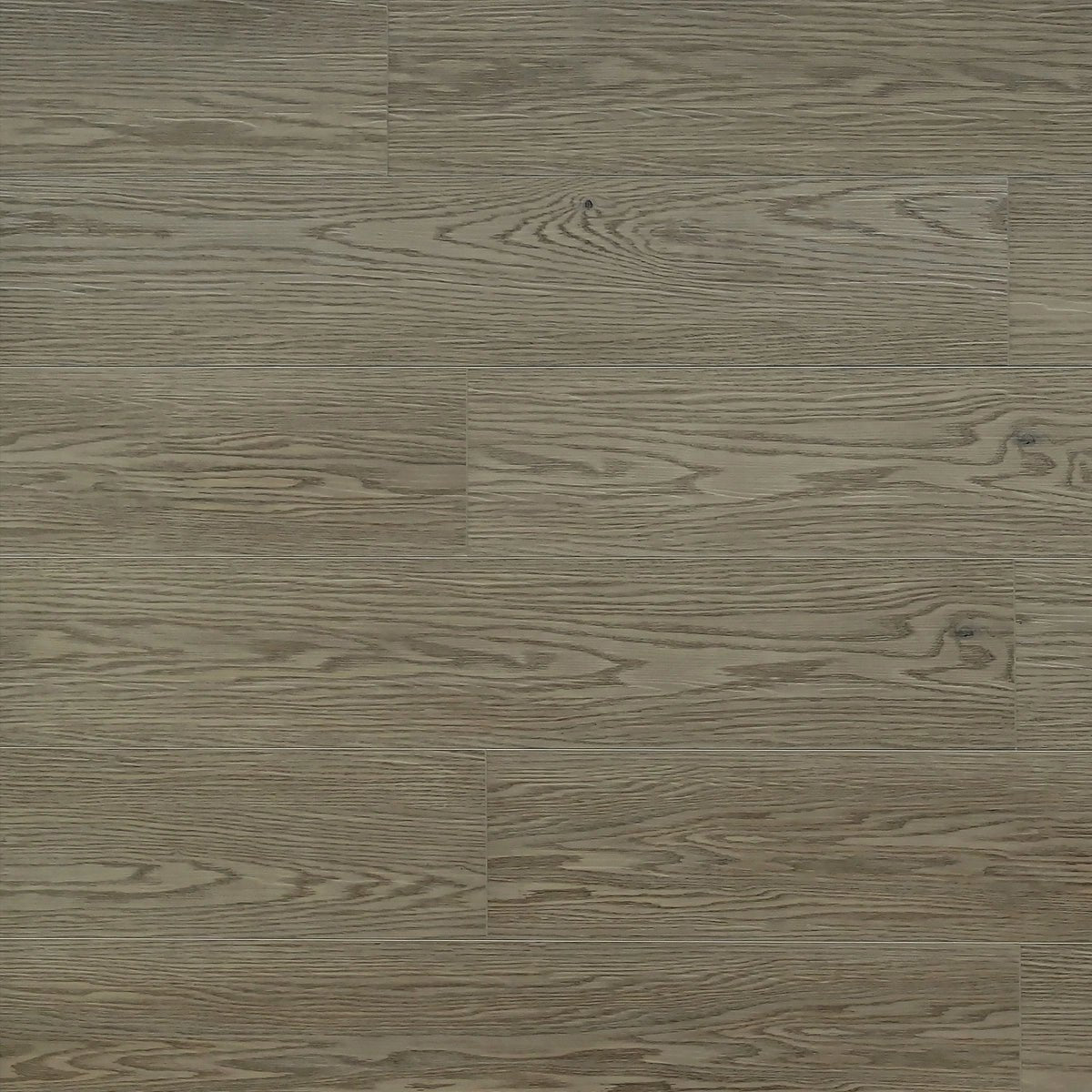 TFSPC602-F Rome Toucan SPC6 Luxury Vinyl Plank - CrownCornice Mouldings & Millworks Inc.
