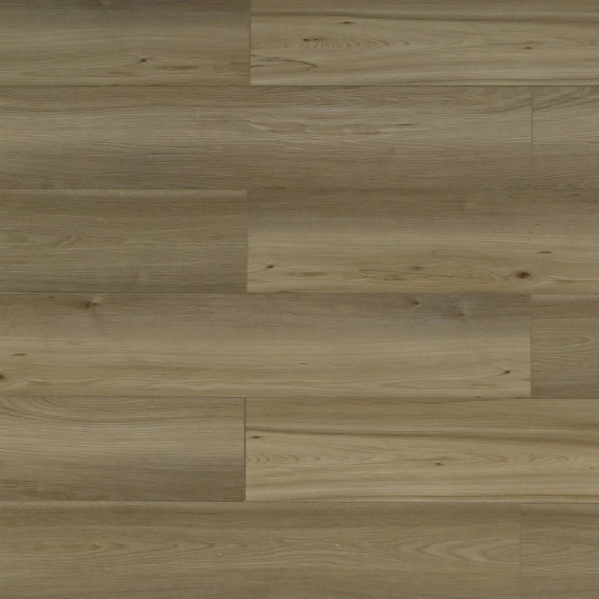 TFSPC607-F Lion Toucan SPC6 Luxury Vinyl Plank - CrownCornice Mouldings & Millworks Inc.