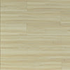 TFSPC611-F Vienna Toucan SPC6 Luxury Vinyl Plank - CrownCornice Mouldings & Millworks Inc.